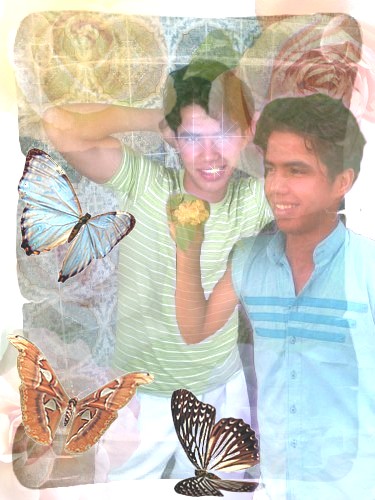 hello